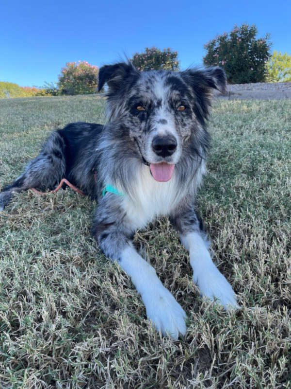 Amazingly photogenic aussie