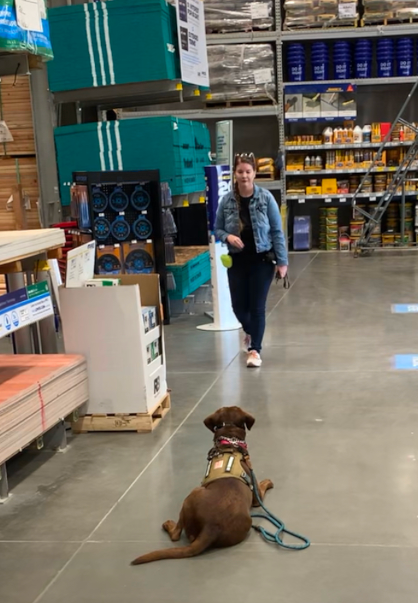 Public access training